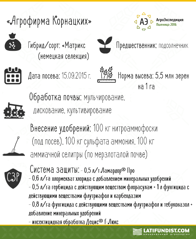 Теxнологическая инфографика агрофирма «Корнацкиx»